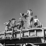 14-Taliesin-West-1947-foto-Pedro-Guerrero