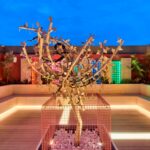 paceville_garden_016-FILEminimizer