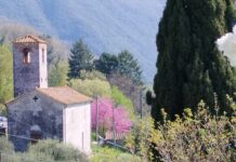 Diocesi di Lucca. Geografie Sacre a Brancoli. Paesaggi che custodiscono memoria